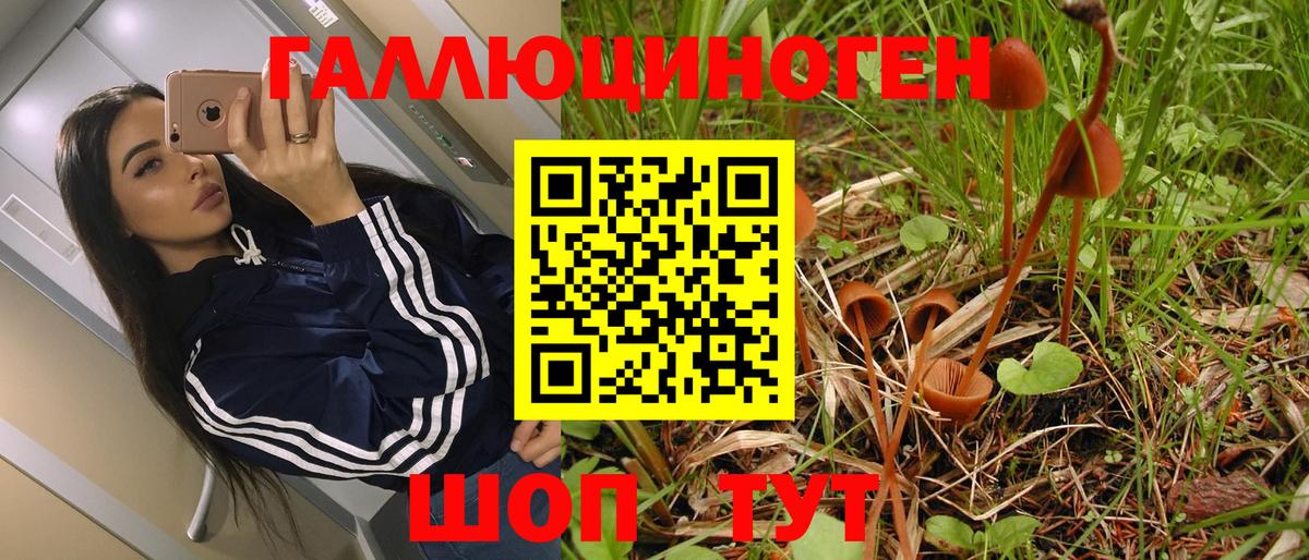 Псилоцибиновые грибы ЛСД Учалы
